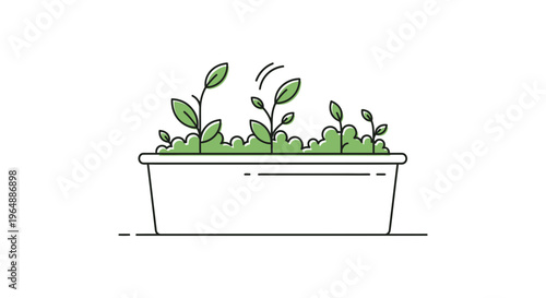 Fresh green seedlings thriving in a contemporary planter box highlighting natural growth and
