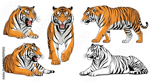 Tiger Collection: Roaring, Walking, Resting Big Cats in Various Poses