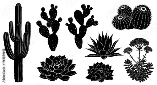 Set of Silhouette Desert Plants: Cacti, Succulents, Agave, and Echeveria