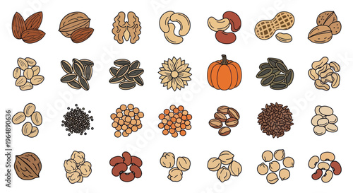 Assortment of Healthy Nuts and Seeds Collection, Top View