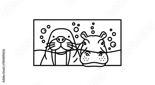 Adorable line art illustration of a walrus and hippopotamus playfully swimming underwater with