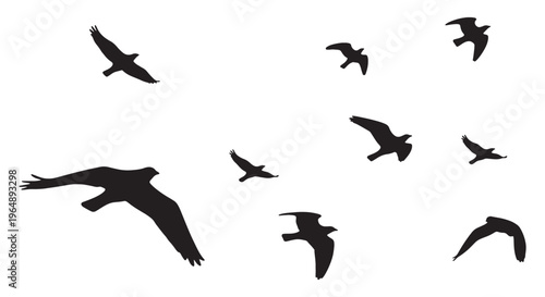 Bird Silhouette Collection – Flying, Landing & Flock Vector Pack