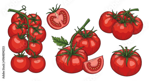 Fresh Red Tomatoes on the Vine with Slices and Leaves - Healthy Food Illustration