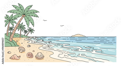 Seashells on sandy beach shore line.