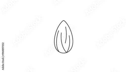 Simple Line Art Icon of an Almond Nut, Minimalist Food Graphic