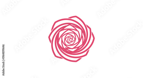 Pink Rose Flower Single Bloom.
