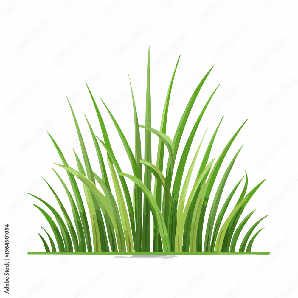 Fototapeta premium Fresh green grass blades vector illustration isolated on white background islamic background