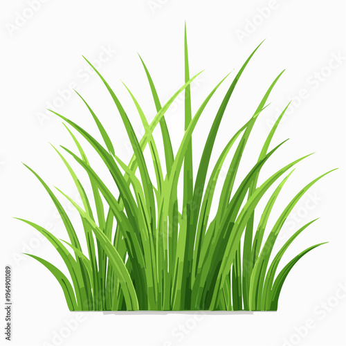 Green grass tuft clump isolated on white background islamic background with eco friendly