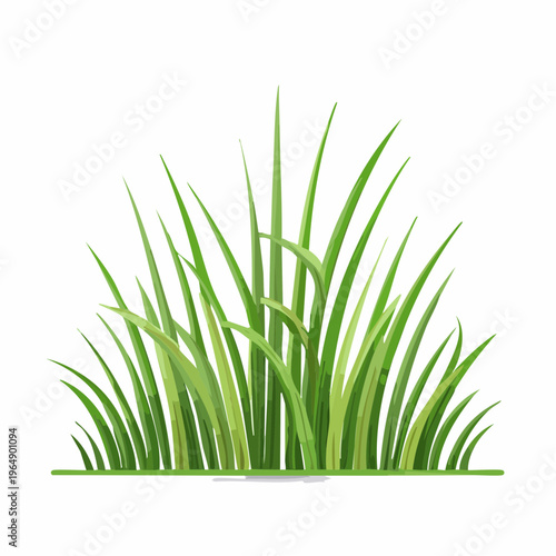 Fresh green grass blades vector illustration isolated on white background islamic background