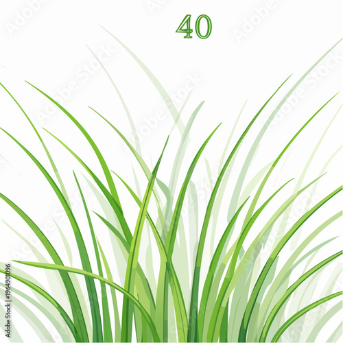 Number forty green grass text design element vector illustration islamic background