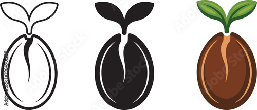 Modern Seed outline silhouette and colorful icon