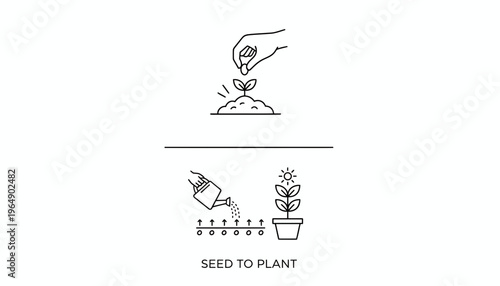 Seed to Plant: Iconography of Growth from Sowing to Watering and Fruition