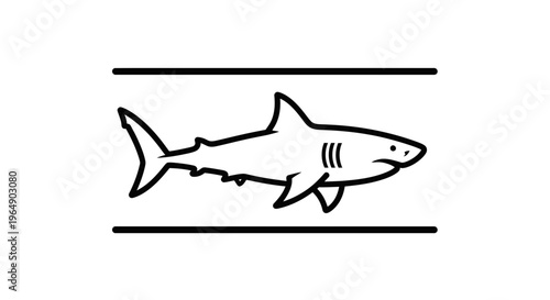 Stylized Minimalist Shark Icon Outline Art for Ocean Life and Marine Themes Graphic Design Element
