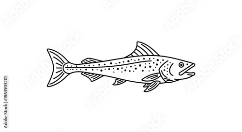 Artistic linear illustration of a spotted freshwater fish design element
