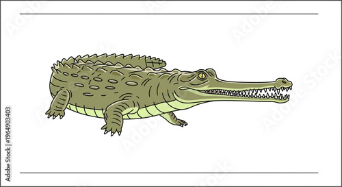 Vivid cartoon illustration of a distinctive long-snouted gharial, a unique freshwater reptile