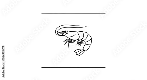 Minimalist black and white line art illustration of a shrimp, perfect for seafood menus or marine