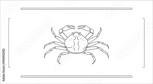Detailed vector line art illustration of a marine crab with prominent claws on a clean white
