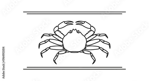 Minimalist line art illustration of a marine crab showcasing its distinct form and aquatic essence