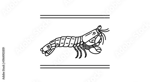 Minimalist line art illustration of a powerful marine mantis shrimp crustacean in a simple graphic