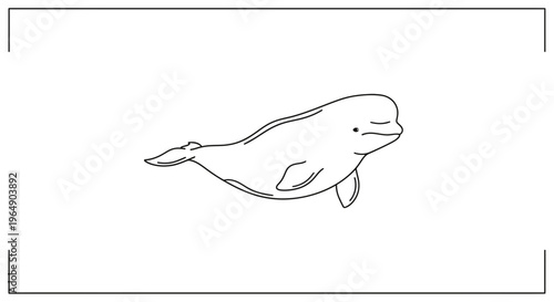 Minimalist line art illustration of a cheerful beluga whale gracefully swimming in clear waters