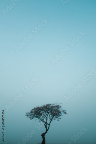 marble sculpture exhibition in museum highlights intricate details and artistry of master sculptors