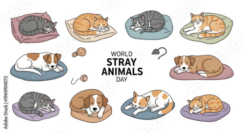 Illustration of sleeping cats and dogs on cushions for World Stray Animals Day awareness campaign with a clean white background.