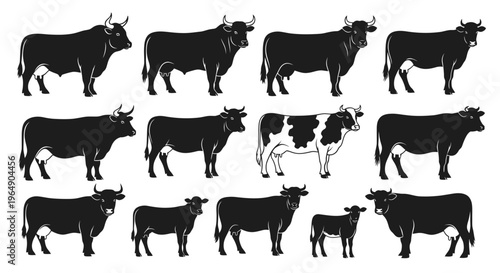 Cattle Breeds Silhouette Collection: Bulls, Cows, Calves - Farm Livestock