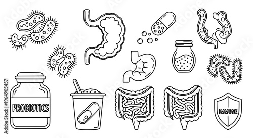 Detailed probiotics outline icon set with microbiome bacteria and digestive health illustrations
