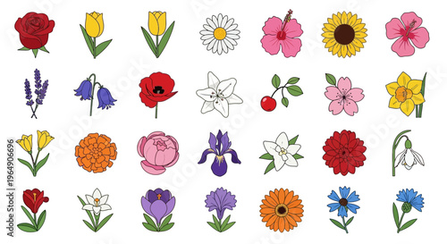 Set of colorful hand drawn flower icons isolated on white background