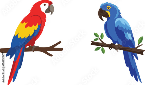 Colorful vector illustration of two parrots perched on branches — a red-and-yellow macaw and a blue parrot — designed in a clean, flat cartoon style on a white background.