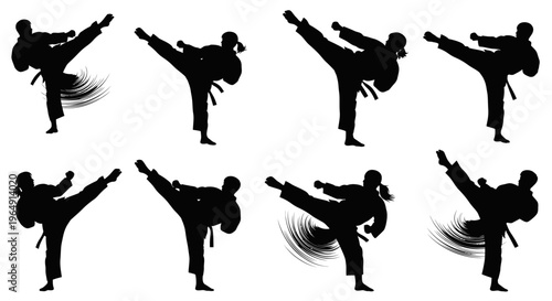Martial Arts Silhouette: Karateka Performing High Kick