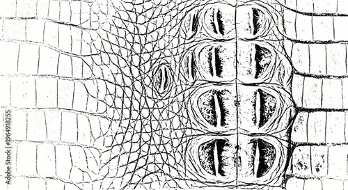 Close-up of Crocodile Skin Texture