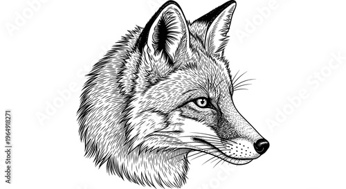 Detailed Sketch of a Fox Head in Profile, Black and White Illustration