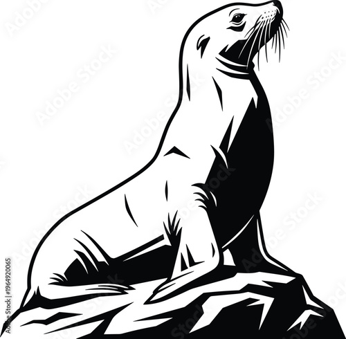 Sea lion silhouette sitting on rock marine animal black white illustration isolated