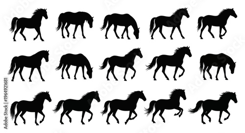 Set of horse silhouettes in various poses, black on white background.