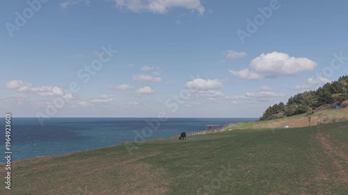 제주 함덕해수욕장