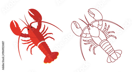 Two lobster illustrations, one red and one line-art, on a white background with a minimalist style.