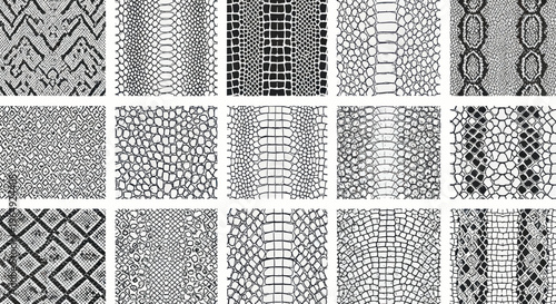 Collection of Reptile Skin Textures - Black and White Patterns