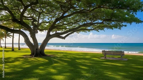Peaceful Tropical Beach Park with Tree Shade, Wooden Bench, Calm Ocean and Blue Sky Cinematic View