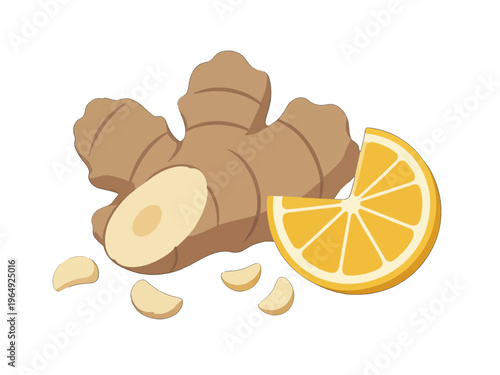 Ginger, Garlic, and Lemon Slice Vector Illustration, Fresh Organic Food Ingredients Icon Set