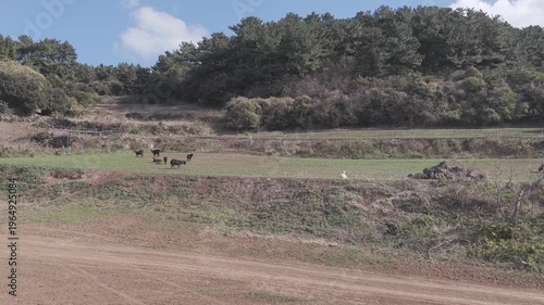 제주 함덕해수욕장