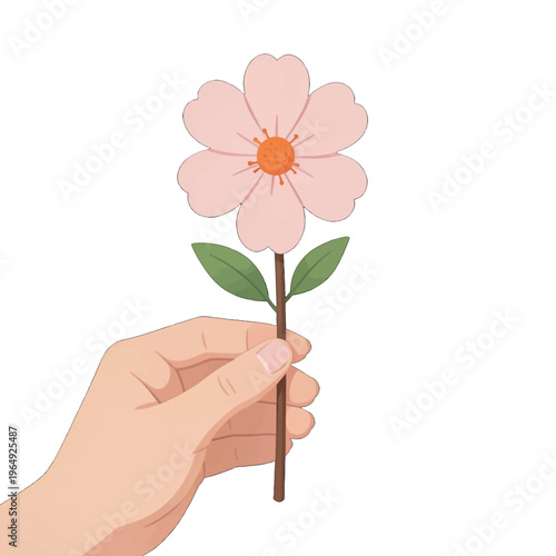 Hand Holding Pink Flower Illustration Vector, Minimalist Isolated Design for Cards and Digital Art