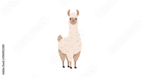 Simple and clean illustration of a fluffy white llama standing tall and facing forward on a completely white background for versatile use.