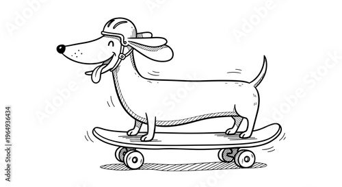 Happy cartoon dachshund dog wearing helmet riding skateboard with tongue out fun