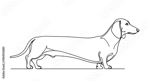 Elegant continuous line drawing of a long bodied dachshund dog standing profile