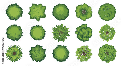 Collection of diverse green tree top view icons for landscape design