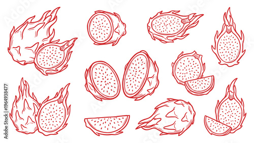 Hand Drawn Dragon Fruit Slice Set Line Art Pitaya Collection