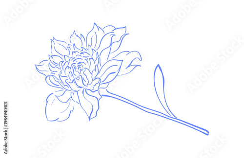 Whimsical flower sketch in blue outline style. Elegant hand drawn flower doodle as delicate icon. Minimalist floral element on clean background suits cafe invitation card and social media frame.
