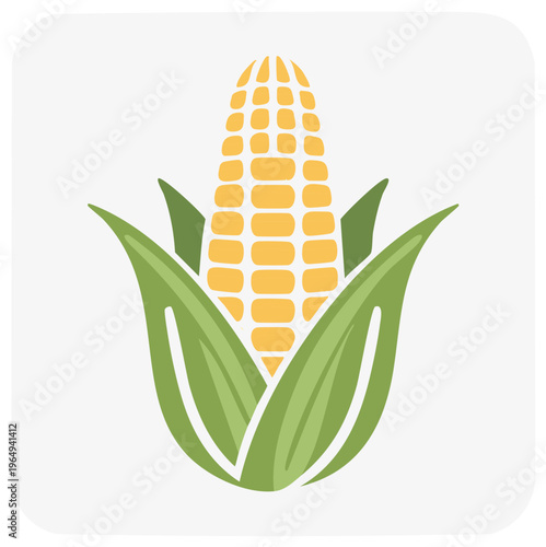 Corn on the cob with green leaves. Vector illustration of maize.
