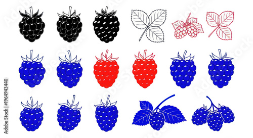 Set of Raspberry and Blackberry Icons: Black, Blue, Red, and Sketch Styles